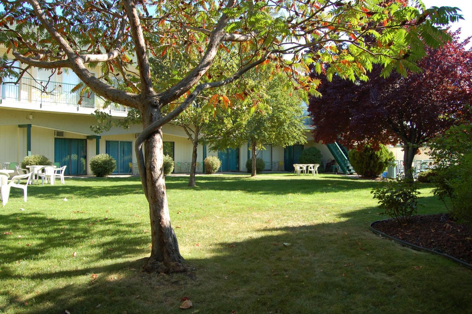 Summerland Motel Extérieur photo