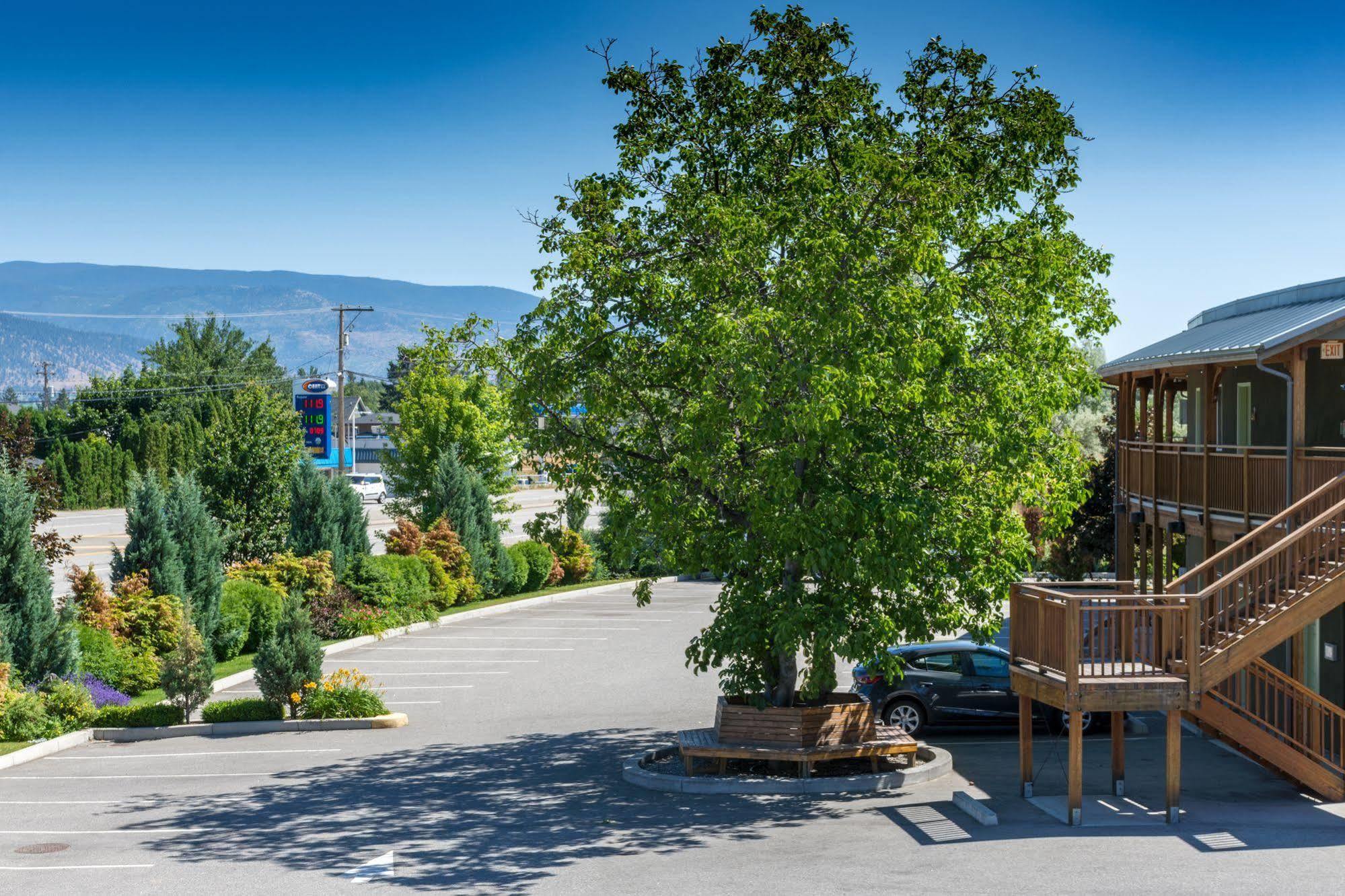 Summerland Motel Extérieur photo